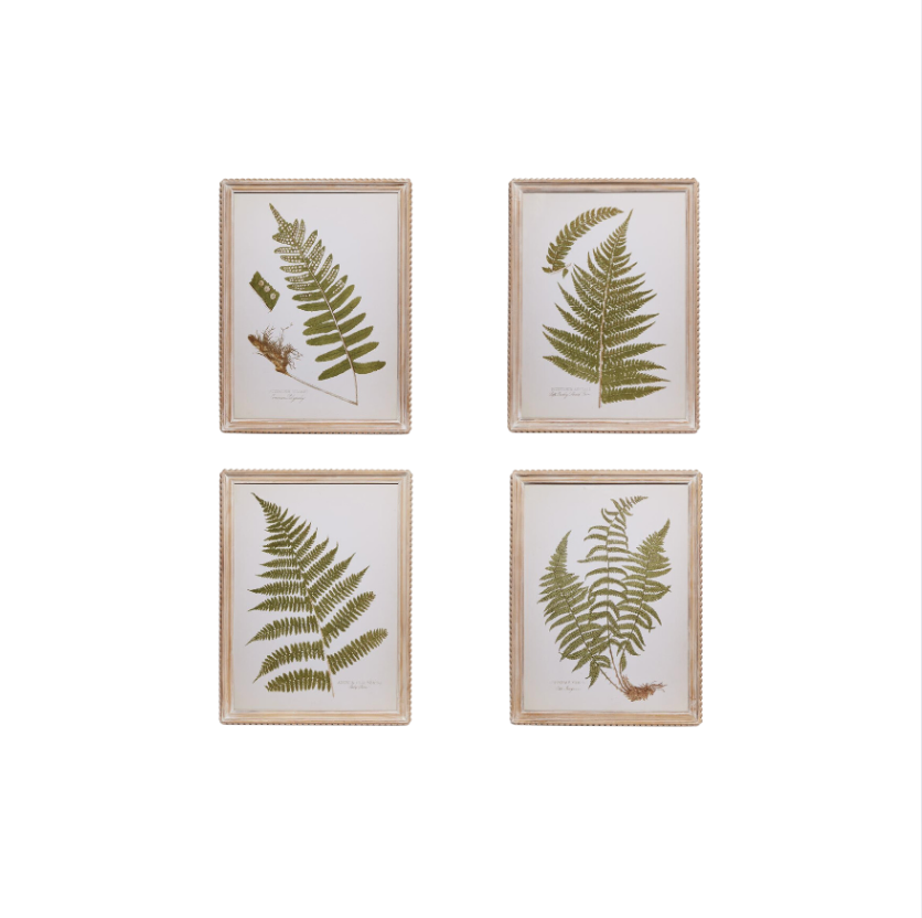 Fanciful Fern Wall Art