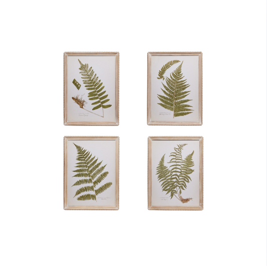 Fanciful Fern Wall Art