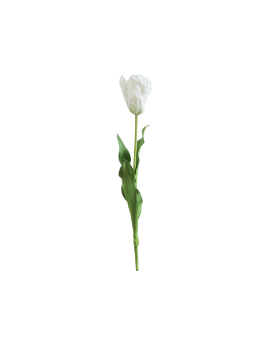 White Real Touch Parrot Tulip