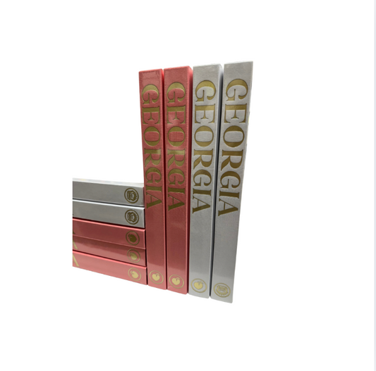 Georgia Blank Book