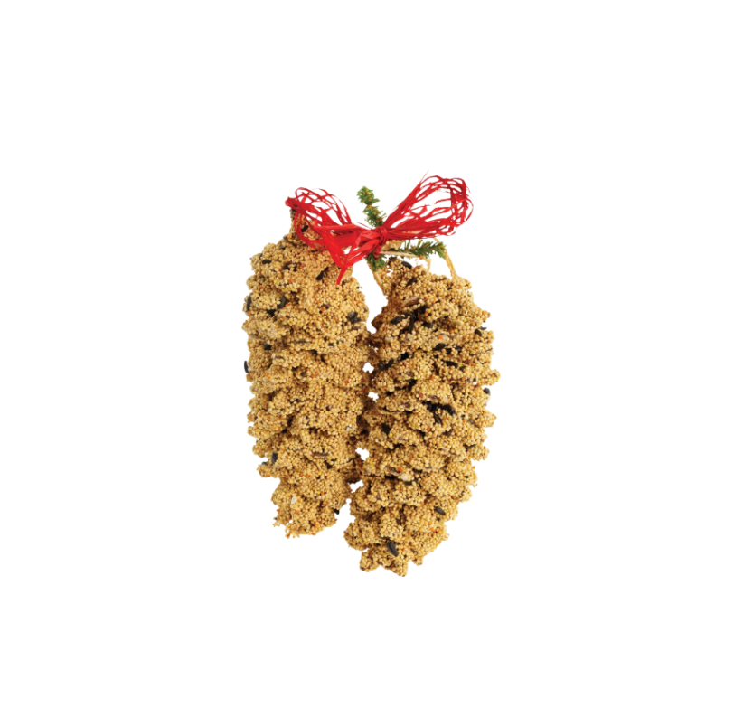 Mr. Bird Giant Pinecone Pair