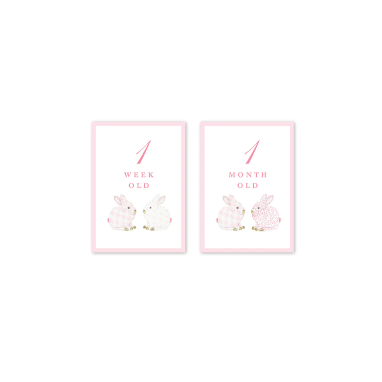 Dogwood Hill Porcelain Bunnies Pink Milestone Cards