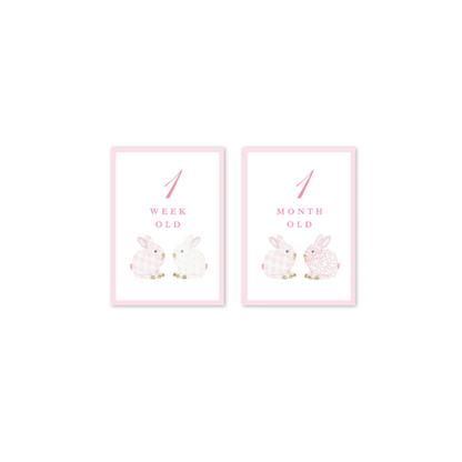Dogwood Hill Porcelain Bunnies Pink Milestone Cards