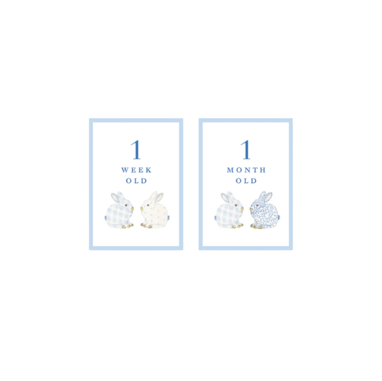 Dogwood Hill Porcelain Bunnies Blue Milestone Cards