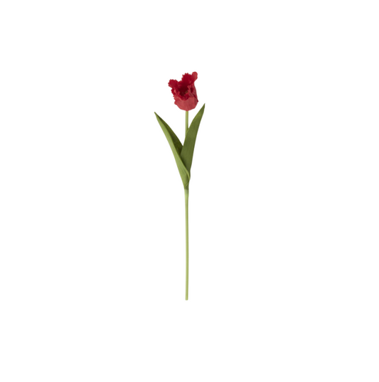 Red Real Touch Parrot Tulip