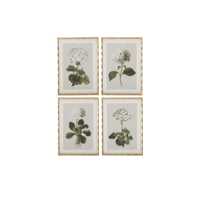 Gold Ornate Wood Framed Geranium Prints