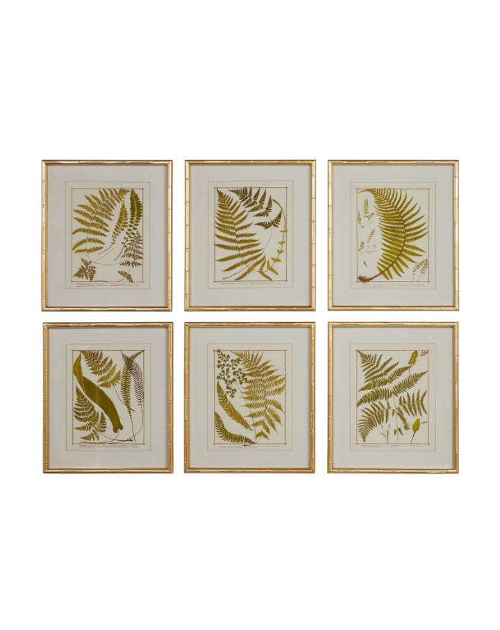 Gold Bamboo Framed Fern Print