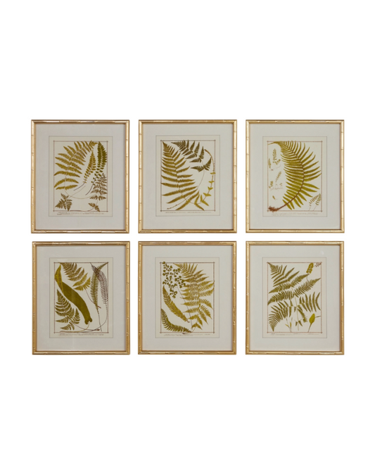 Gold Bamboo Framed Fern Print