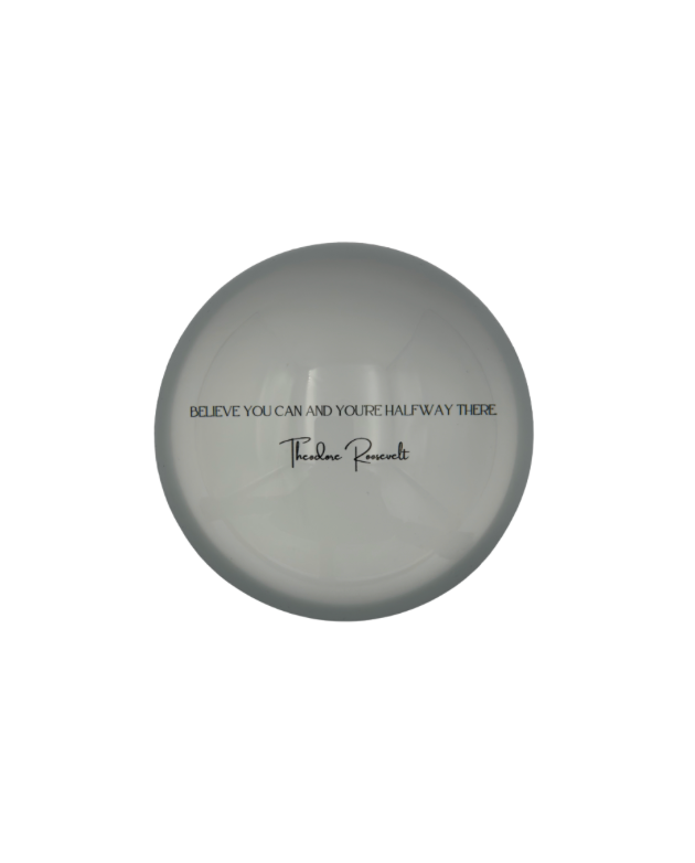 Theodore Roosevelt Quote Paper Weight