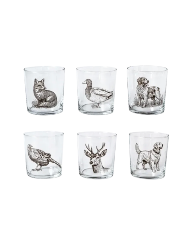 Vietri Wildlife Assorted Tumblers - Set of 6