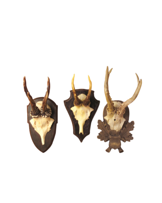 Antler Trophy Reproductions