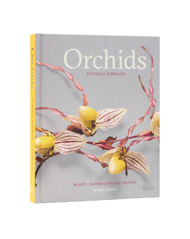 Orchids : Botanical Portraits: Beauty, Natural History, Botany