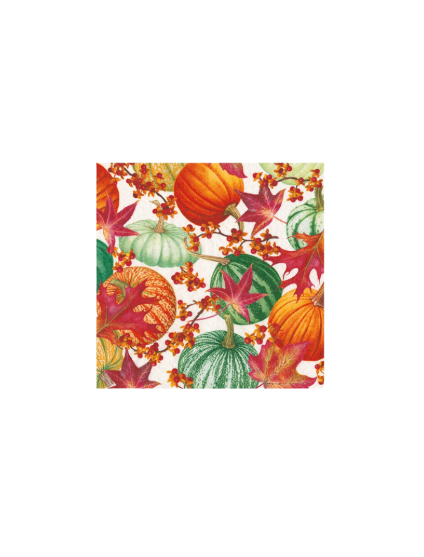 Gourds and Leaves Recycled Cocktail Napkins