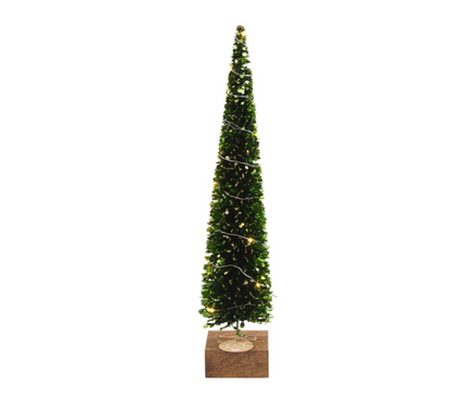 Light-Up Boxwood Trees