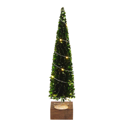 Light-Up Boxwood Trees