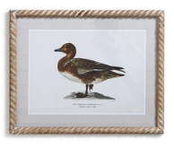 Duck Wall Art
