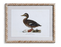 Duck Wall Art