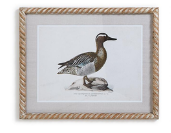 Duck Wall Art