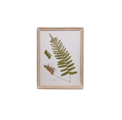 Fanciful Fern Wall Art
