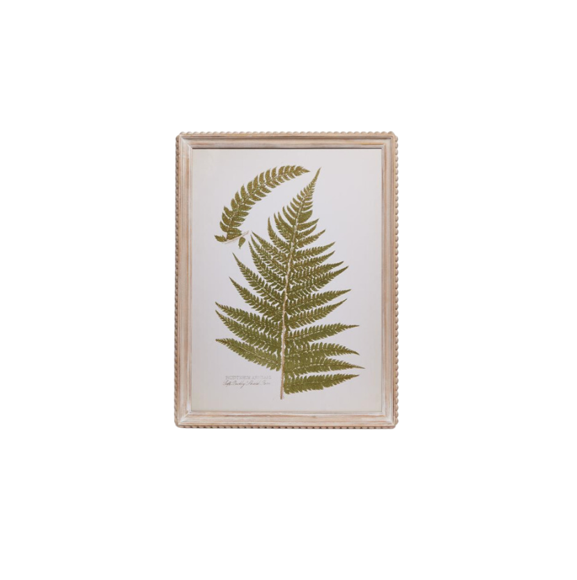 Fanciful Fern Wall Art