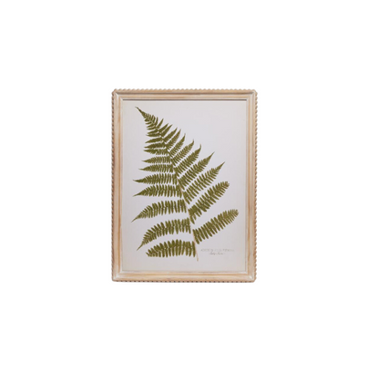 Fanciful Fern Wall Art