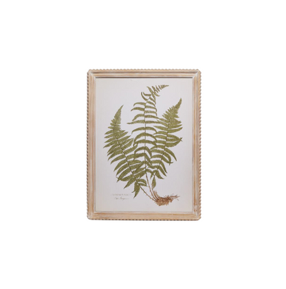 Fanciful Fern Wall Art