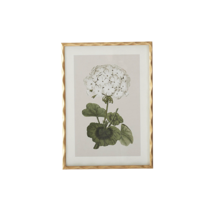 Gold Ornate Wood Framed Geranium Prints