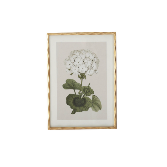 Gold Ornate Wood Framed Geranium Prints