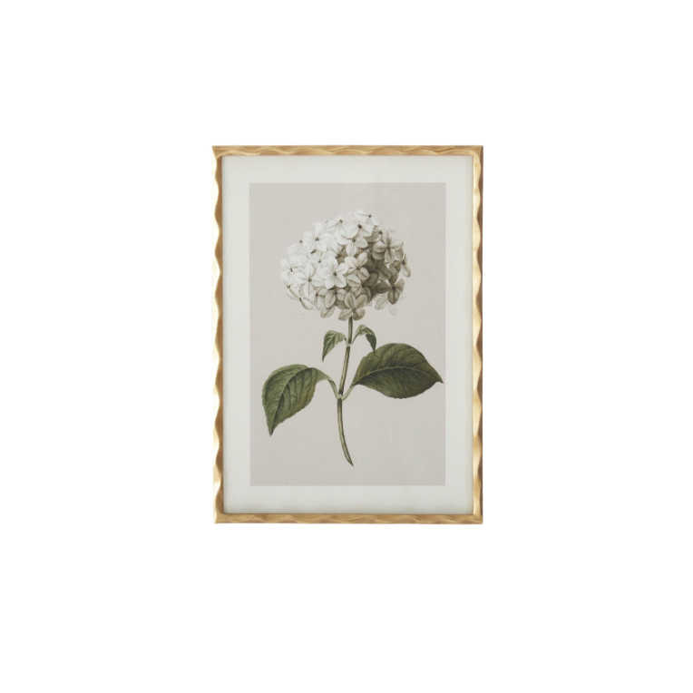 Gold Ornate Wood Framed Geranium Prints