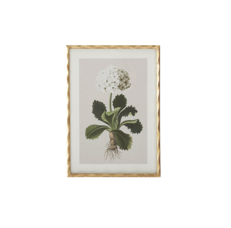 Gold Ornate Wood Framed Geranium Prints