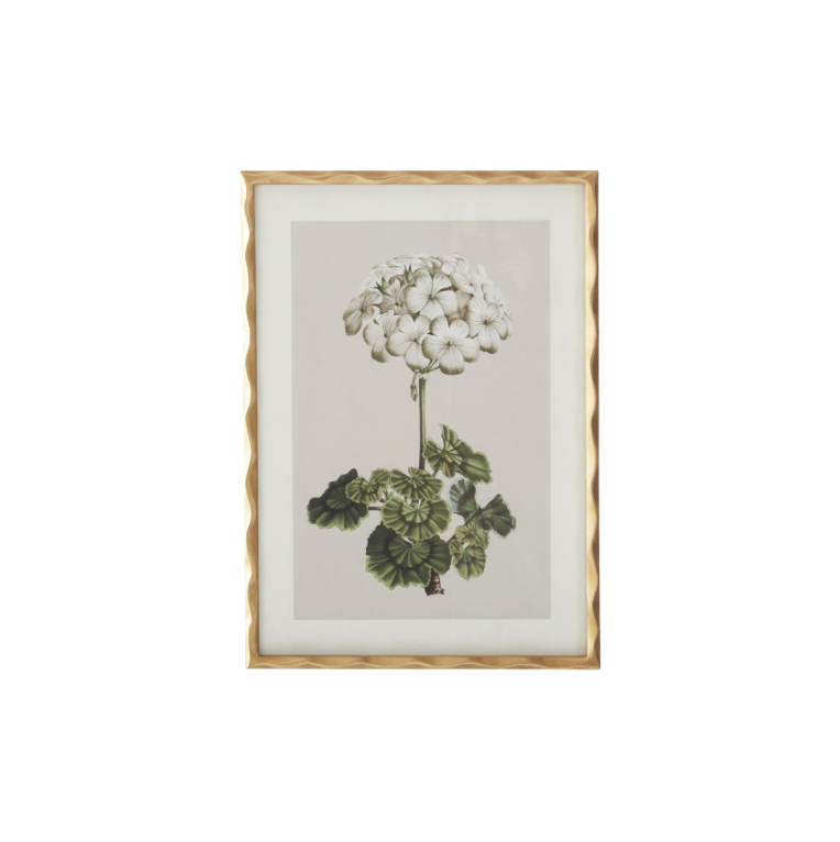 Gold Ornate Wood Framed Geranium Prints