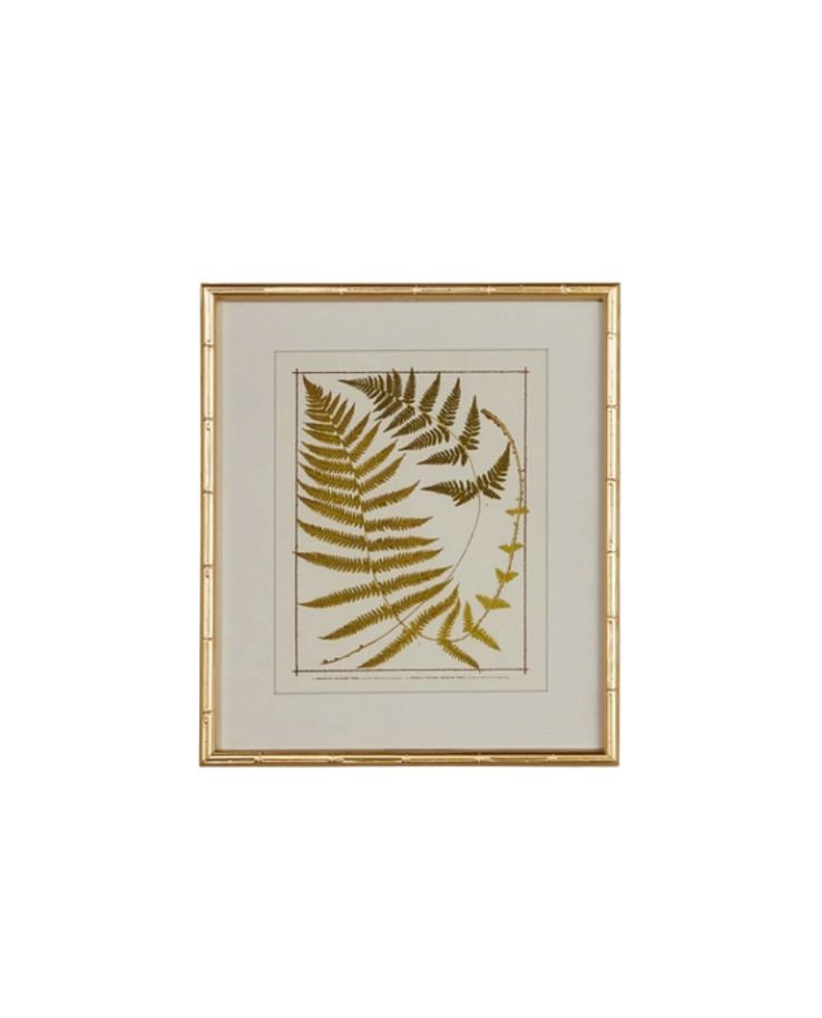 Gold Bamboo Framed Fern Print