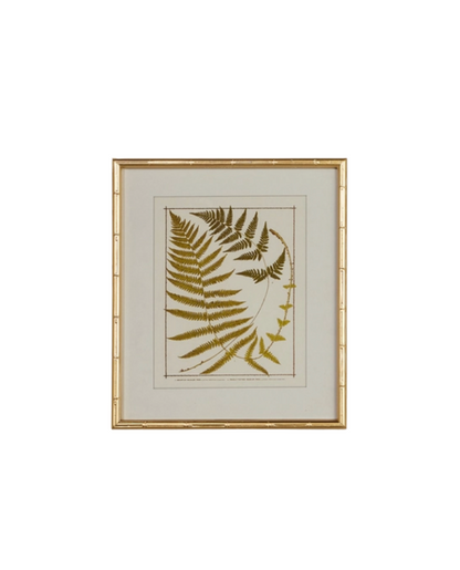Gold Bamboo Framed Fern Print