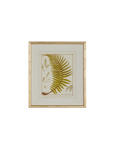 Gold Bamboo Framed Fern Print