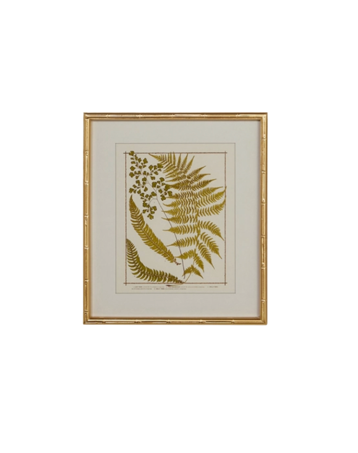 Gold Bamboo Framed Fern Print
