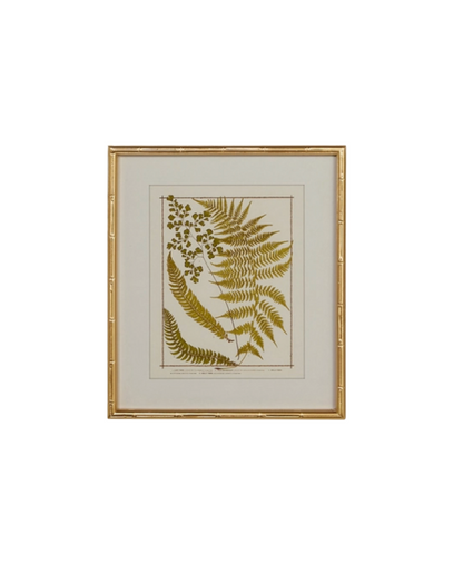 Gold Bamboo Framed Fern Print