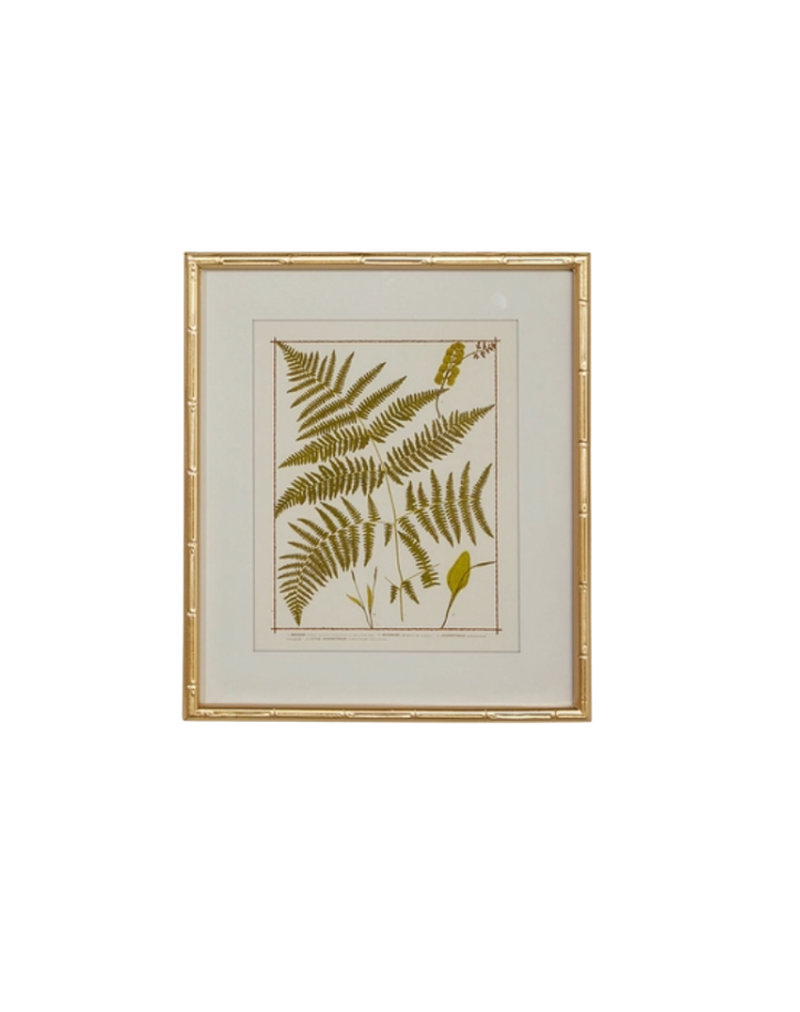 Gold Bamboo Framed Fern Print