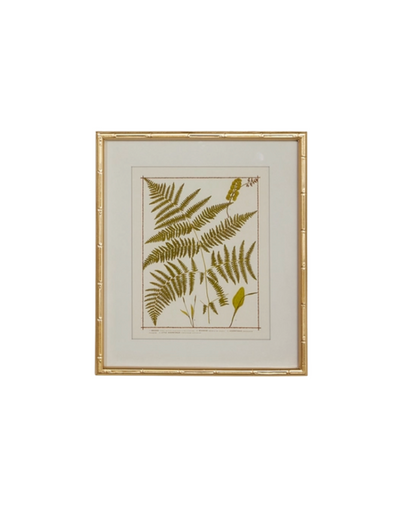 Gold Bamboo Framed Fern Print