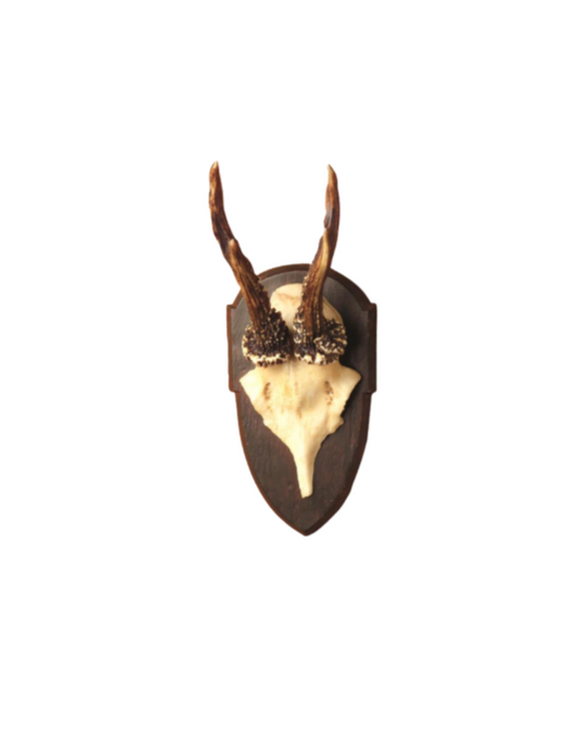 Antler Trophy Reproductions