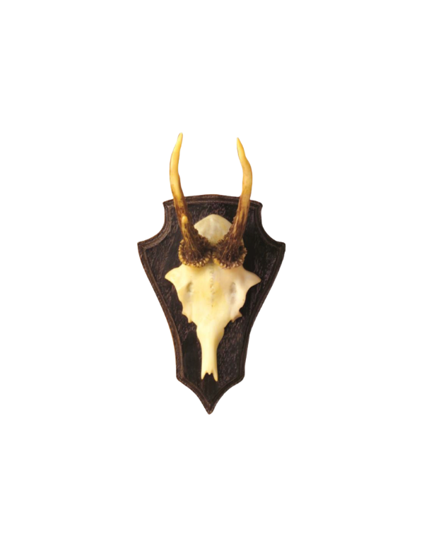 Antler Trophy Reproductions