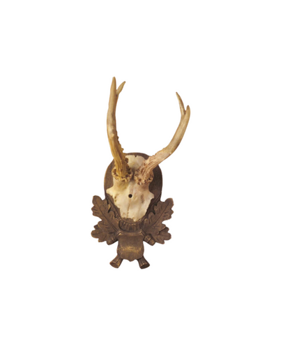 Antler Trophy Reproductions