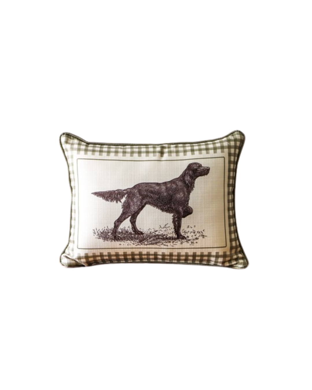 Euro Setter Illustration Pillow