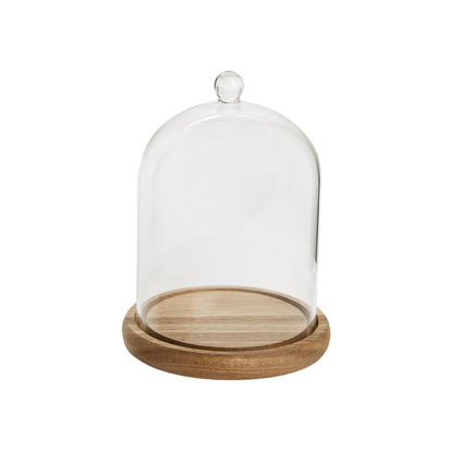 Cloche with Ball Handle and Wood Base