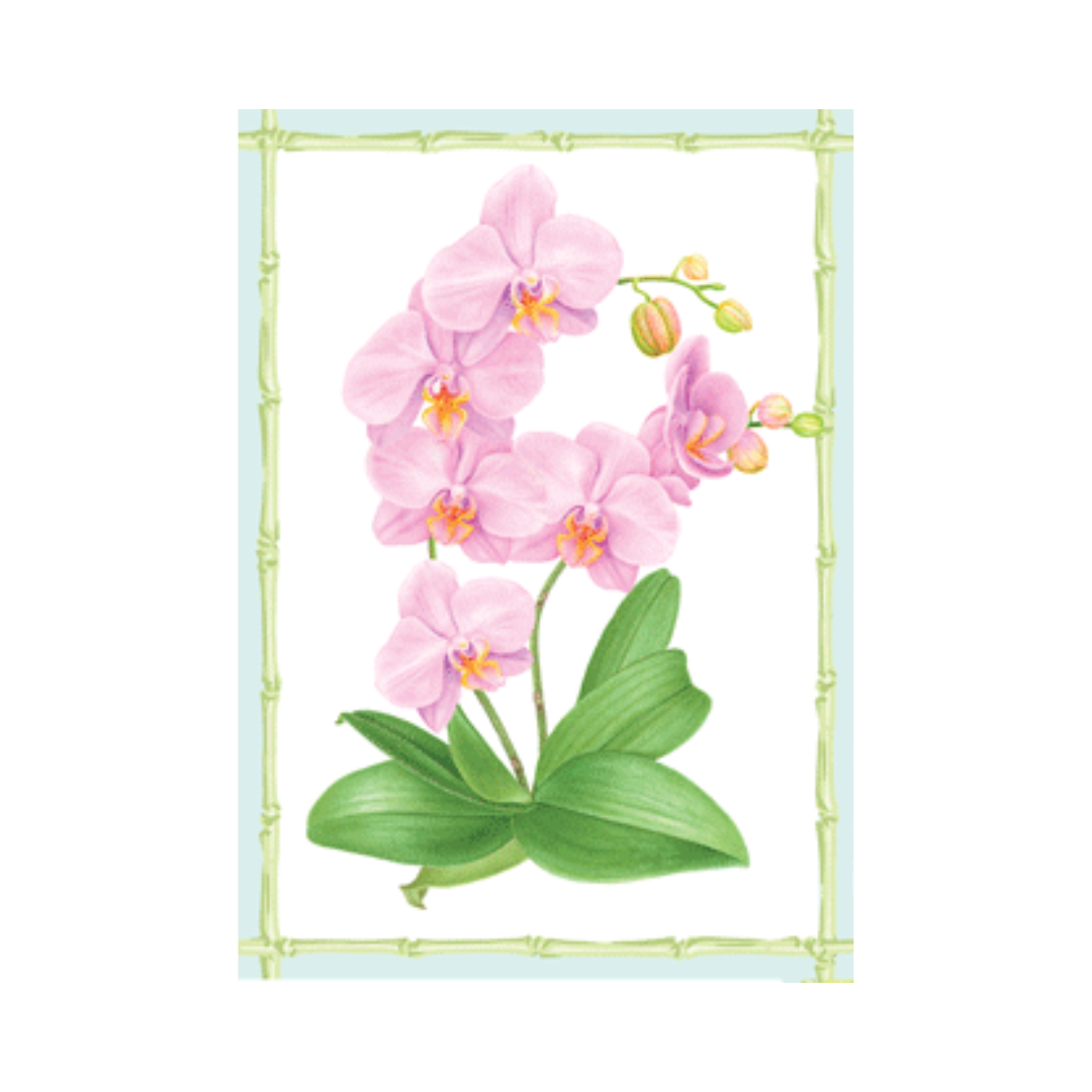 Caspari Orchid Conservatory Assorted Notes