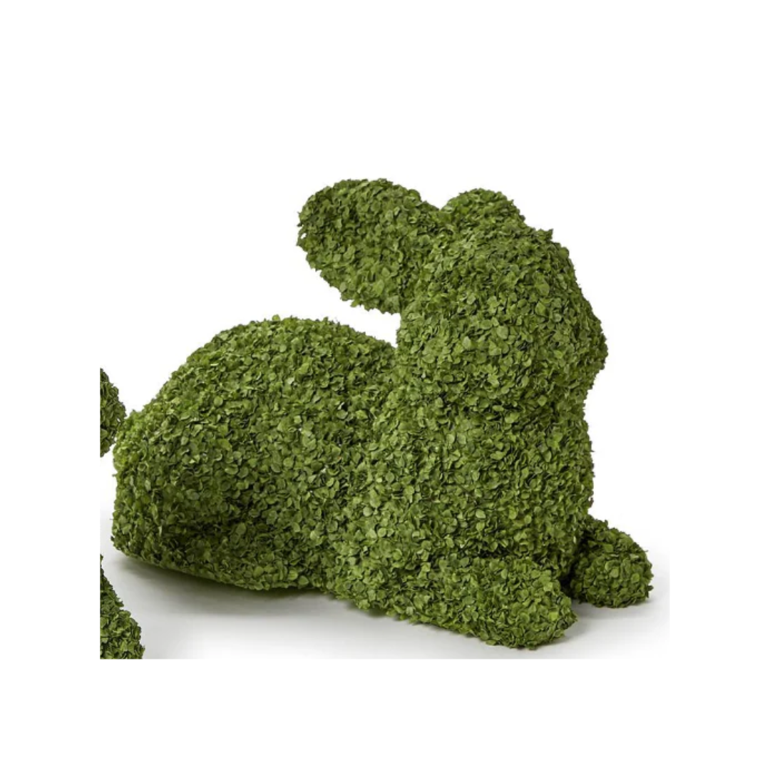Preserved Natural Buckwheat Husk Bunnies
