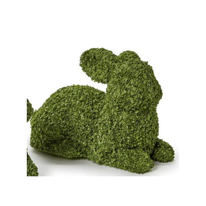 Preserved Natural Buckwheat Husk Bunnies
