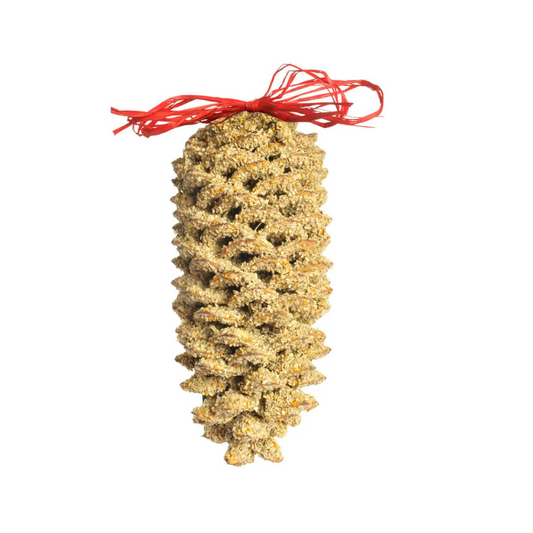 Mr. Bird Giant Pinecone
