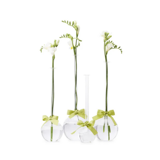 Glass Bubble Vase