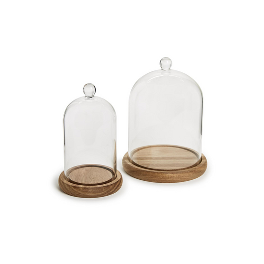 Cloche with Ball Handle and Wood Base