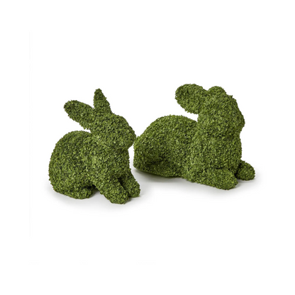 Preserved Natural Buckwheat Husk Bunnies